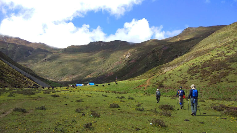 Druk Path Trek