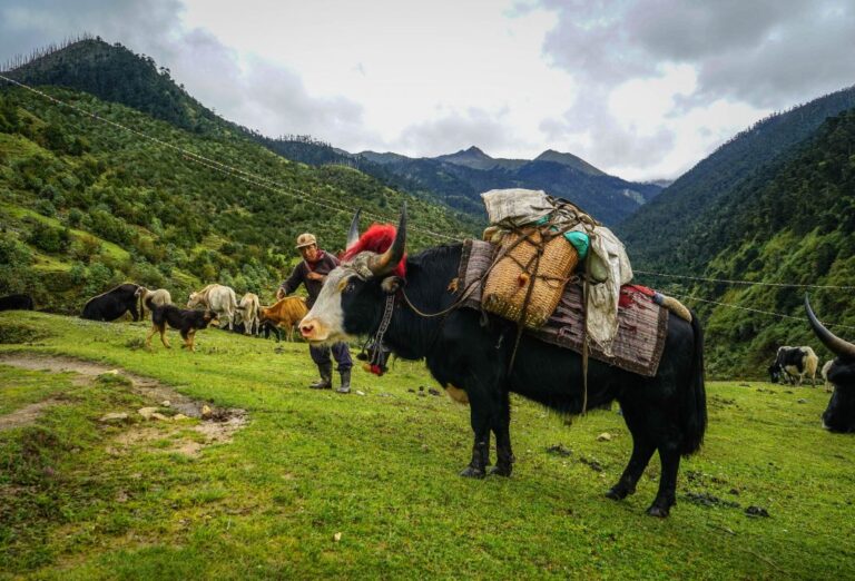 Bhutan Overland Expedition Tour for 11 Days